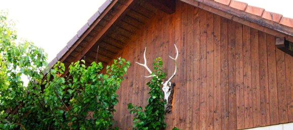 6غرفة منزل في Ulrichsberg, Austria رقم 206144 18