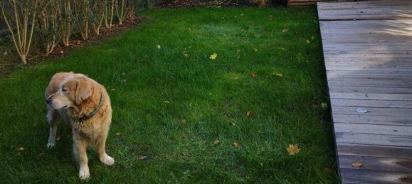 Apartamento de 3 habitaciónes en Peggau, Austria No. 32562 8