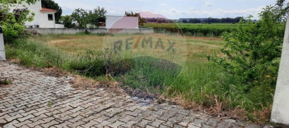 Земельный участок 486м² в Lardosa, Португалия № 76607 2