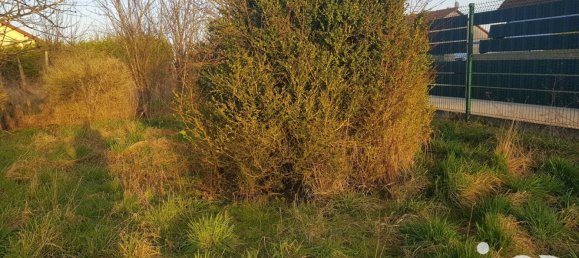 3 chambres Maison à Plichancourt, France No. 50239 2