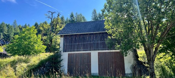 12غرفة منزل في Eisenkappel-Vellach, Austria رقم 224547 9