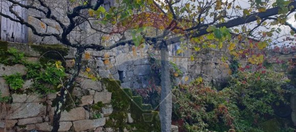 3 bedrooms House in Fornelos, Portugal No. 185316 9