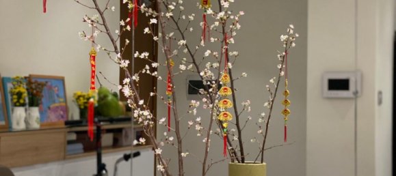 3 bedrooms Apartment in Binh Thanh, Vietnam No. 18142 12