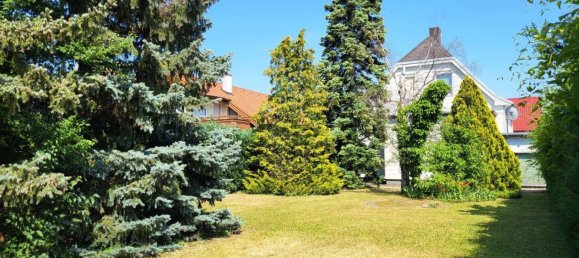  Land in Liesing, Austria No. 166613 5