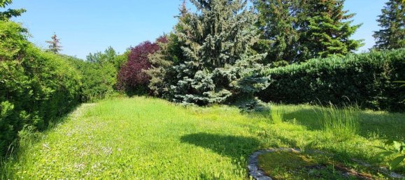  Land in Liesing, Austria No. 166613 3