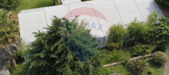 12 bedrooms House in Sintra, Portugal No. 171271 13