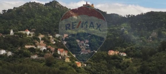 12 bedrooms House in Sintra, Portugal No. 171271 7