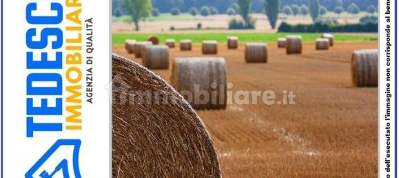 5 rooms Apartment in Montecalvo Irpino, Italy No. 267412 33