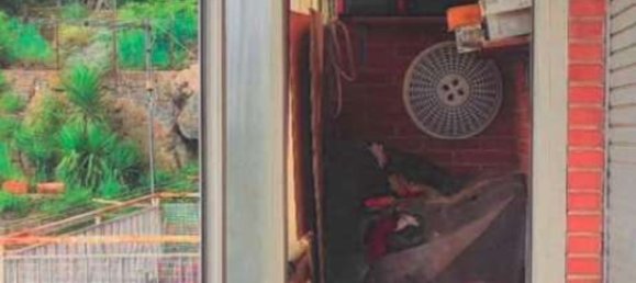 6 rooms Apartment in Manziana, Italy No. 24310 5