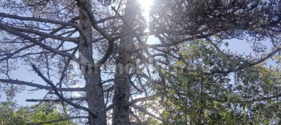 Terrain à Trieste, Italy 1222m² No. 357746 9