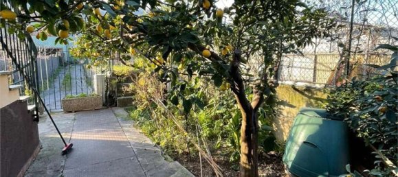 Квартира с 3 комнатами в Кампороссо, Италия № 201456 13