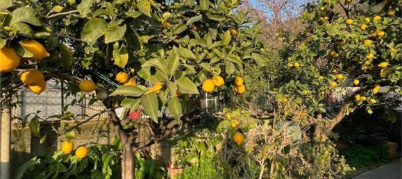 Квартира с 3 комнатами в Кампороссо, Италия № 201456 12