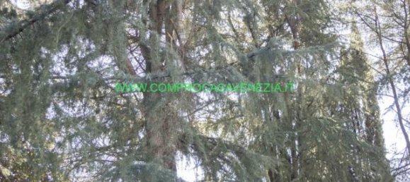 5 rooms Villa in Venice, Italy No. 235547 10