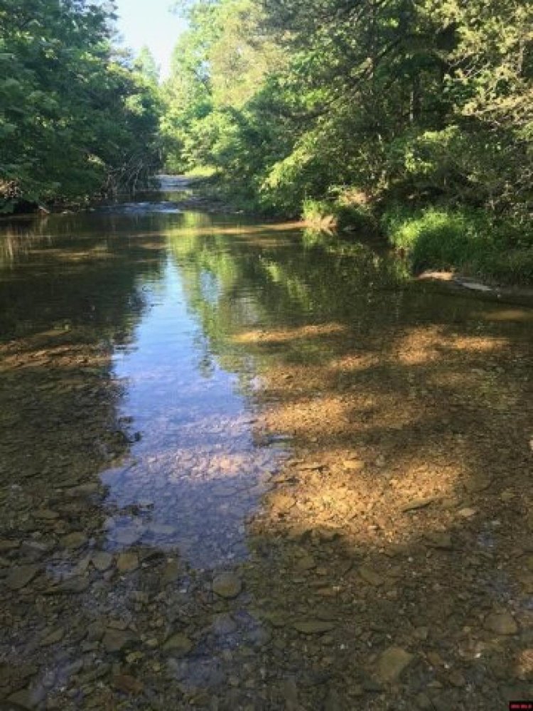  Land in Flippin, USA No. 532892