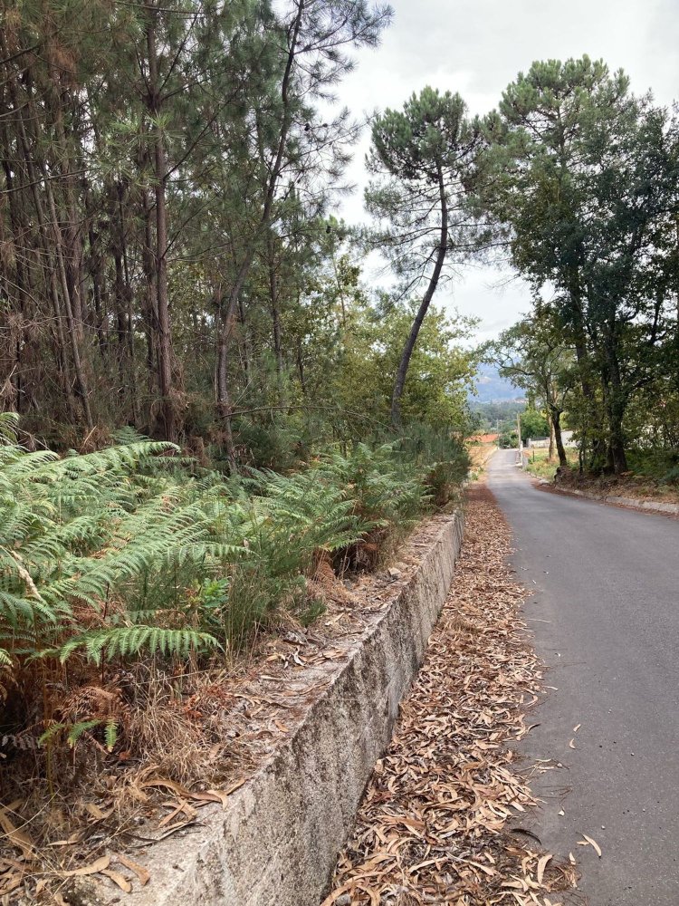 Земельный участок в Сан Педру ду Сул, Португалия № 298319