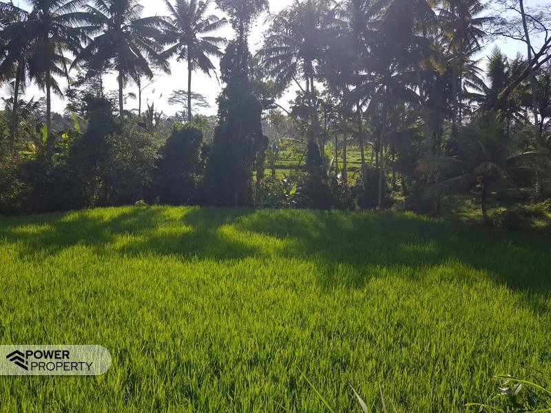 Terrain à Ubud, Indonesia 2620m² No. 3900