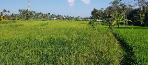 Terrain à Ubud, Indonesia 2620m² No. 3900 7