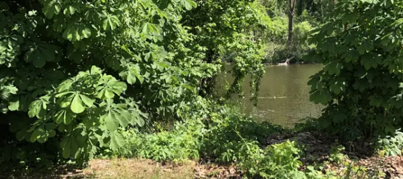 Lagerhaus in Burgenlandkreis, Germany 2850m², Nr. 260242 10