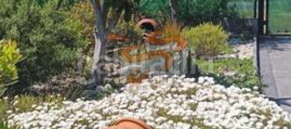 Terrain à A Coruna, Spain 4870m² No. 161099 19