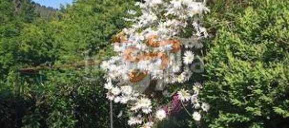 Terrain à A Coruna, Spain 4870m² No. 161099 38