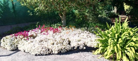 Terrain à A Coruna, Spain 4870m² No. 161099 17