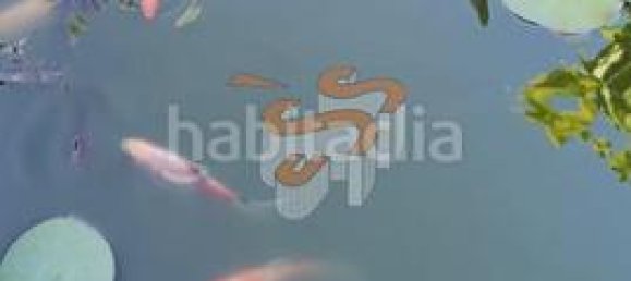 Terrain à A Coruna, Spain 4870m² No. 161099 16