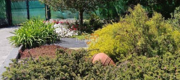 Terrain à A Coruna, Spain 4870m² No. 161099 20