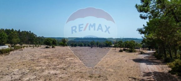 Дом с 1 спальней в Лейрия, Португалия № 51289 22