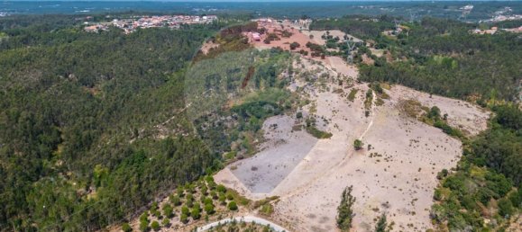 Дом с 1 спальней в Лейрия, Португалия № 51289 23