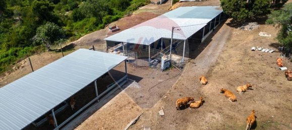 Дом с 1 спальней в Лейрия, Португалия № 51289 21