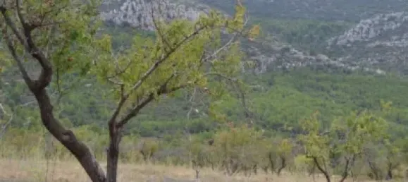 Grundstück in Sella, Spain 630000m², Nr. 134877 18