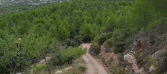 Grundstück in Sella, Spain 630000m², Nr. 134877 4