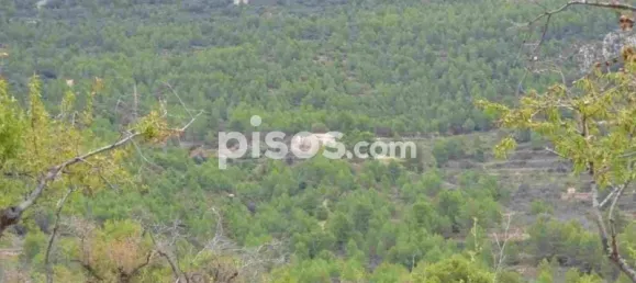 Grundstück in Sella, Spain 630000m², Nr. 134877 19