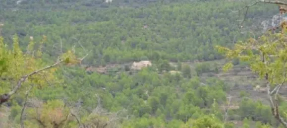 Grundstück in Sella, Spain 630000m², Nr. 134877 16