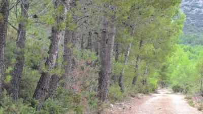 Grundstück in Sella, Spain 630000m², Nr. 134877