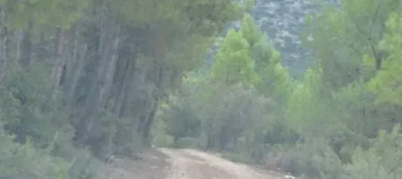 Grundstück in Sella, Spain 630000m², Nr. 134877 2