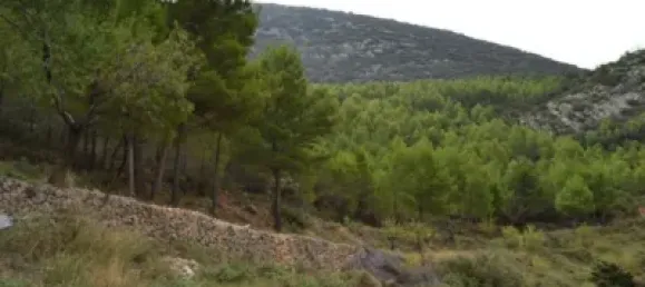 Grundstück in Sella, Spain 630000m², Nr. 134877 14