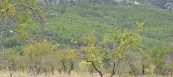 Grundstück in Sella, Spain 630000m², Nr. 134877 17