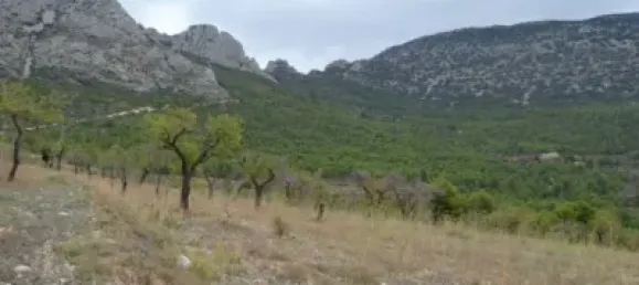 Grundstück in Sella, Spain 630000m², Nr. 134877 20