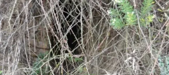 Grundstück in Sella, Spain 630000m², Nr. 134877 12