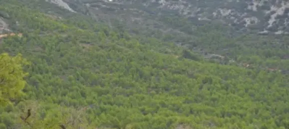 Grundstück in Sella, Spain 630000m², Nr. 134877 21