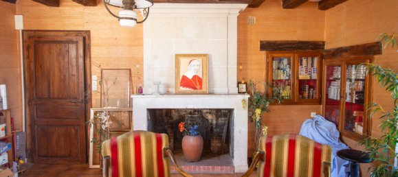 عقار تجاري في Richelieu, France رقم 94223 5