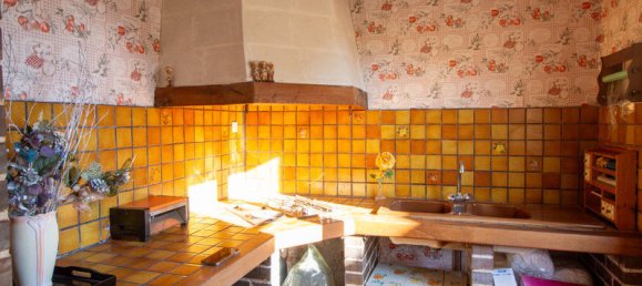 عقار تجاري في Richelieu, France رقم 94223 7