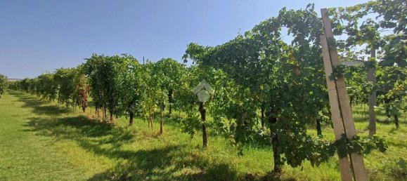 731m² Land in Forlì, Italy No. 303940 7