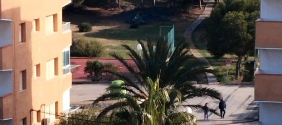 2 Schlafzimmer Wohnung in Guardamar del Segura, Spain, Nr. 28458 13