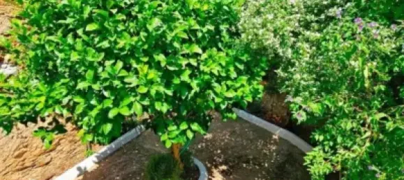 3 غرف نوم منزل في Huelva, Spain رقم 138904 28