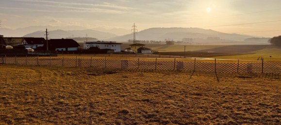 Grundstück in Ohlsdorf, Austria 4600m², Nr. 167631 5