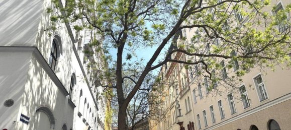 5غرفة شقة في Wieden, Austria رقم 172452 19