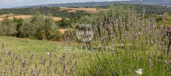 4 bedrooms House in Fabro, Italy No. 265880 26