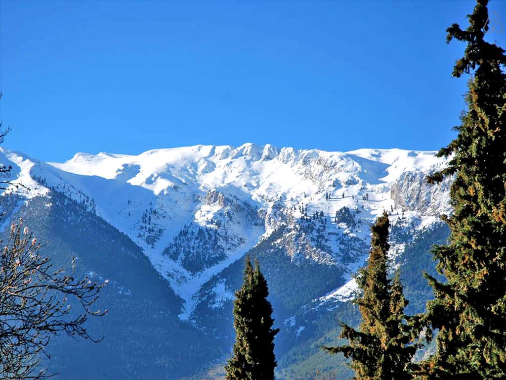 3 غرف نوم عقار تجاري في Boeotia, Greece رقم 6932
